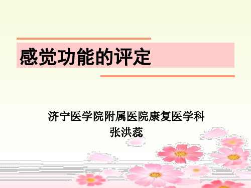 感觉功能的