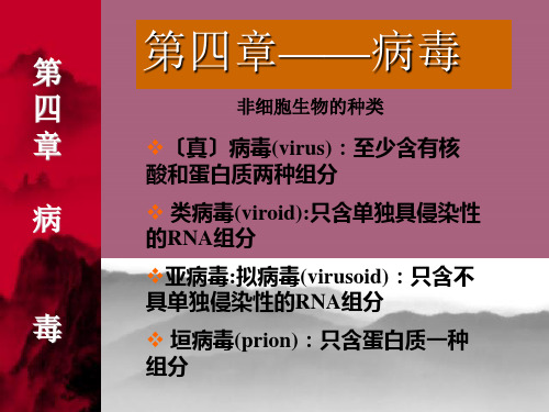 《生物病毒》ppt课件