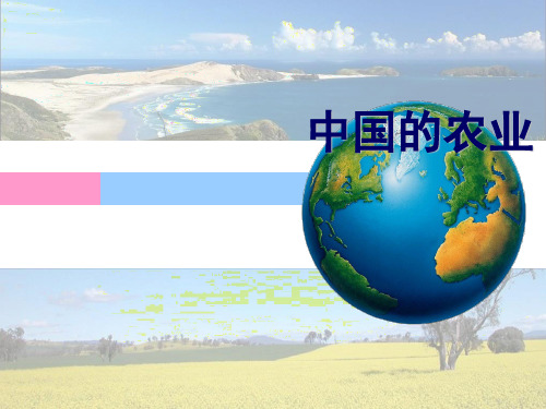 人教版八年级地理上册4.2农业(共84张PPT)
