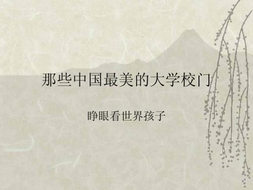中国名牌大学介绍主题班会