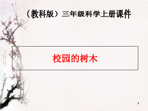教科版科学三上12《校园的树木》2PPT课件