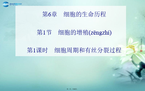 高中生物 第6章 第1节 第1课时 细胞周期和有丝分裂过程同步备课课件 新人教版必修1