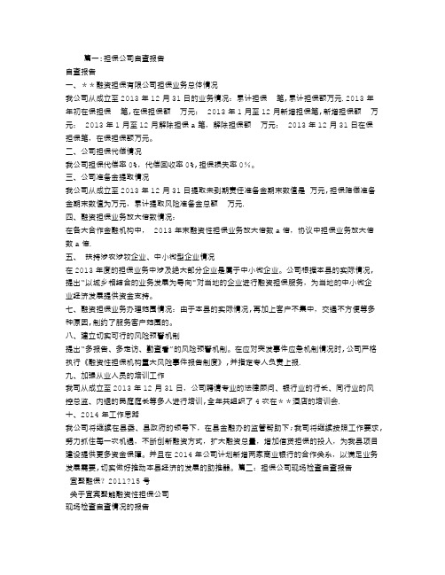 担保公司自查报告