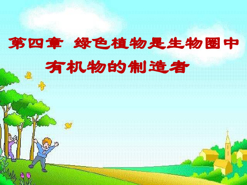 《绿色植物是生物圈中有机物的制造者》4-人教版七年级生物上册PPT课件