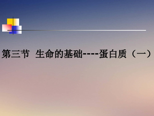 人教版化学选修一1.3《生命的基础—蛋白质(一)》课件