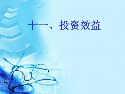 11投资——投资效益