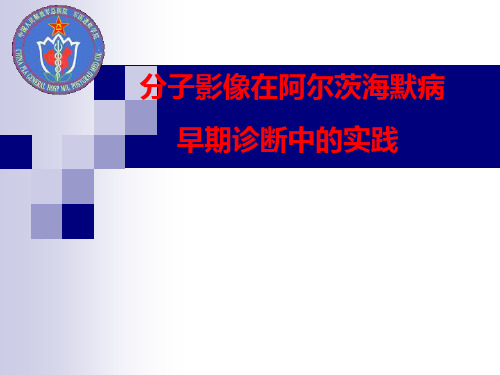 阿尔茨海默病PPT课件