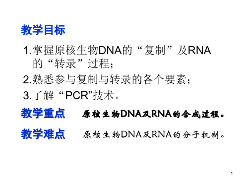 生物化学核酸的生物合成