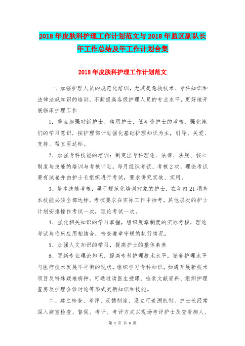 2018年皮肤科护理工作计划范文与2018年监区副队长年工作总结及年工作计划合集