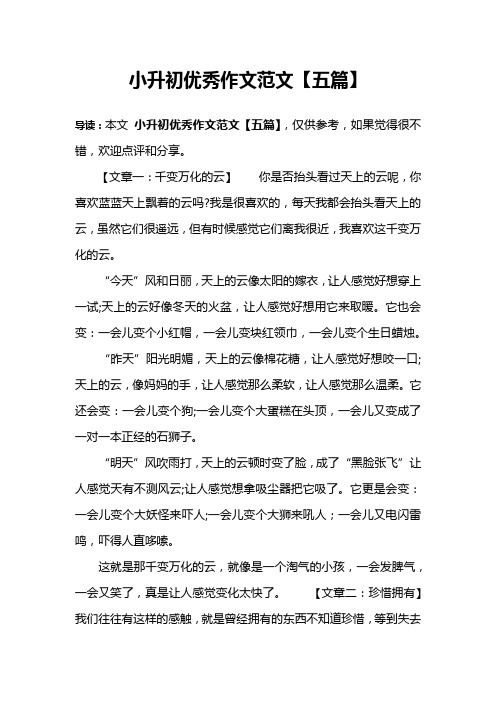 小升初优秀作文范文【五篇】