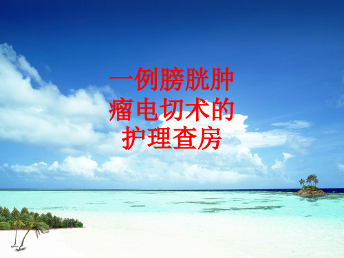 [课件]一例膀胱肿瘤电切术的护理查房PPT