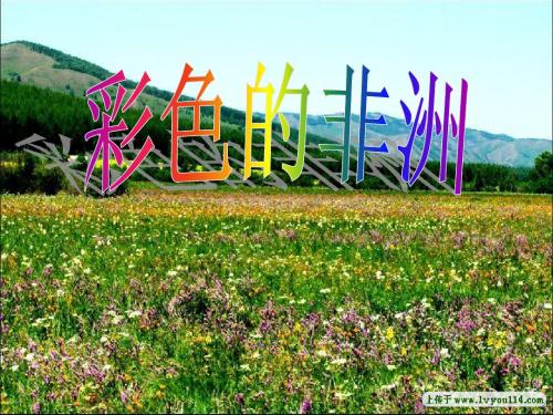 《彩色的非洲》ppt课件