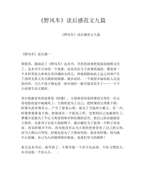 《野风车》读后感范文九篇