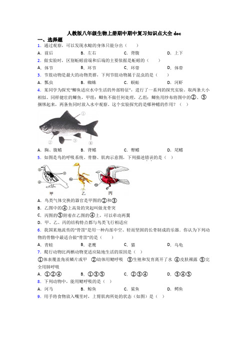 人教版八年级生物上册期中期中复习知识点大全doc
