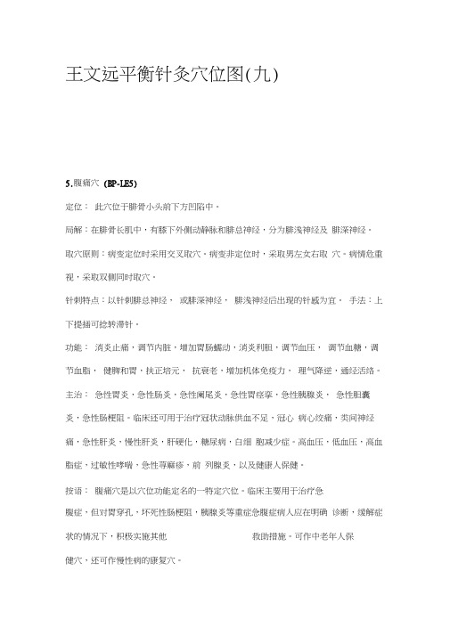 王文远平衡针灸穴位图9