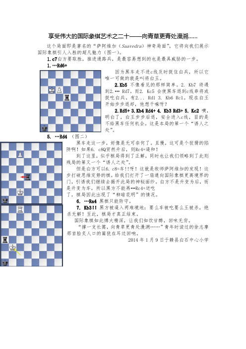 20享受伟大的国际象棋艺术之二十——向青草更青处漫溯(20140109) 2