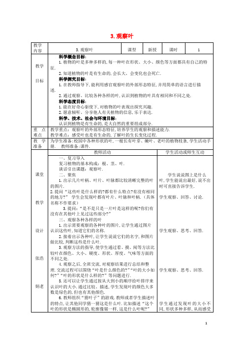 一年级科学上册第1单元植物3观察叶教案1教科版
