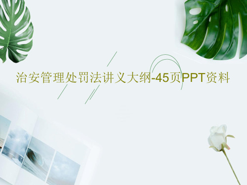 治安管理处罚法讲义大纲-45页PPT资料47页PPT
