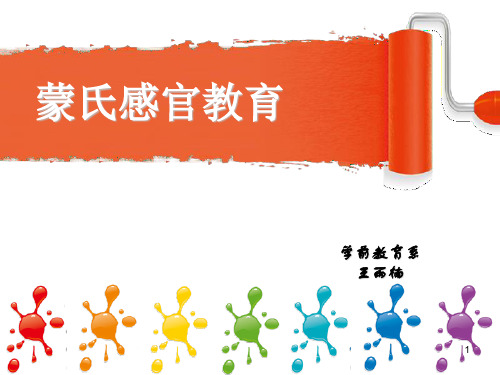 蒙氏感官教育ppt课件