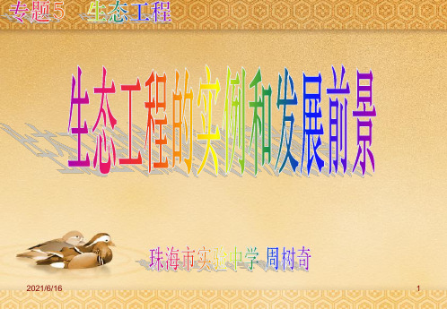 5.2生态工程的实例和发展前景