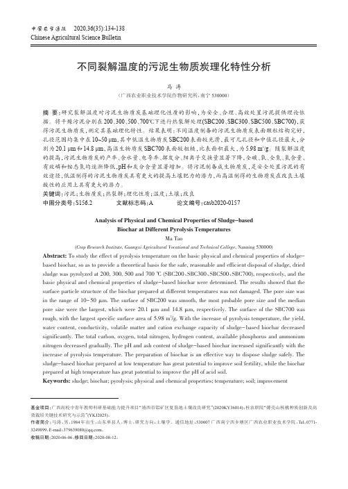 不同裂解温度的污泥生物质炭理化特性分析