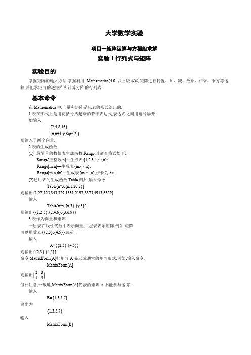 大学数学实验