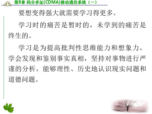 码分多址(CDMA)移动通信系统(一).ppt