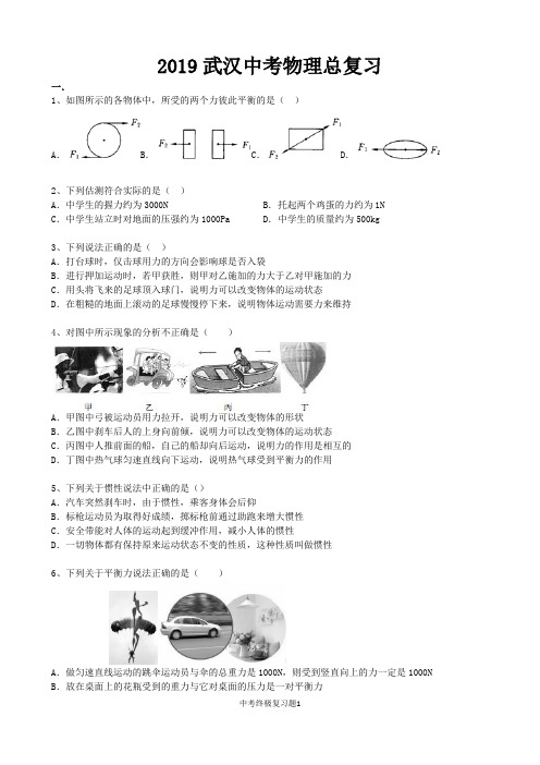 2019武汉中考物理总复习(word版)