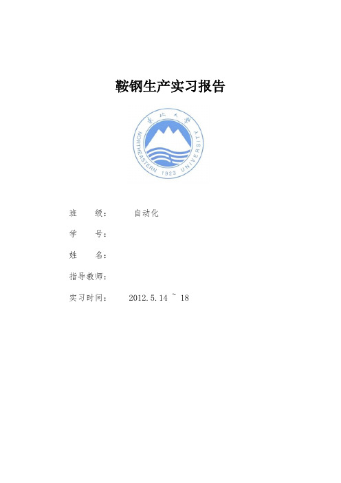 自动化鞍钢实习报告