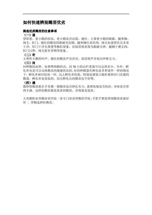 如何快速辨别鹅苗优劣