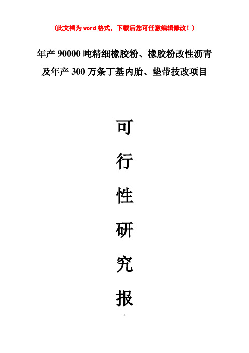 (强烈推荐)年产90000吨精细橡胶粉、橡胶粉改性沥青及年产300万条丁级内垫带技改建设项目研究报告