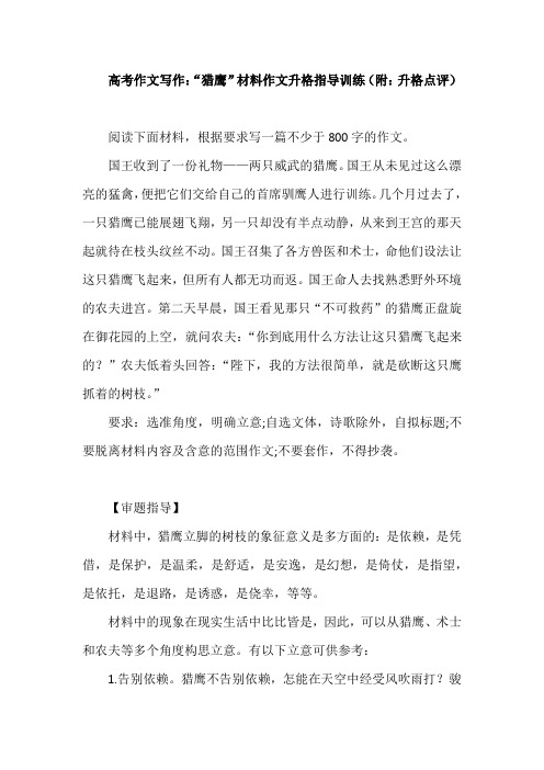 2021届高考作文写作：“猎鹰”材料作文升格指导训练(附：升格点评)