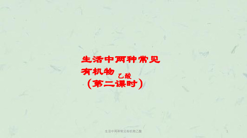 生活中两种常见有机物乙酸课件