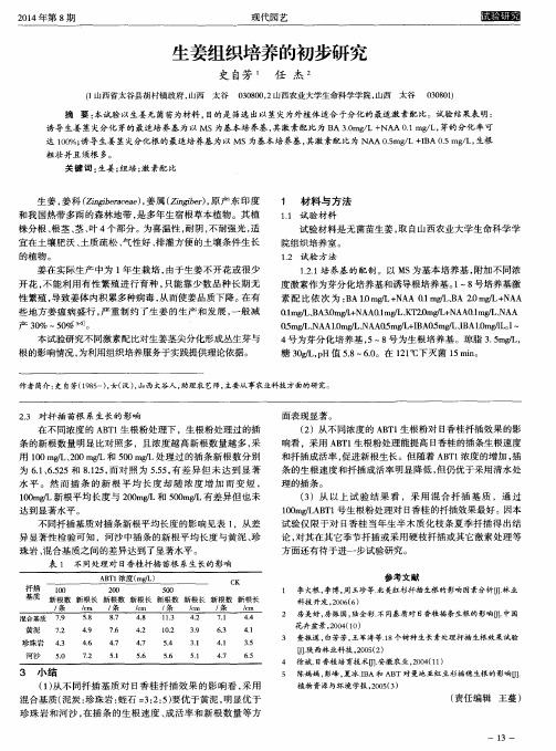 生姜组织培养的初步研究
