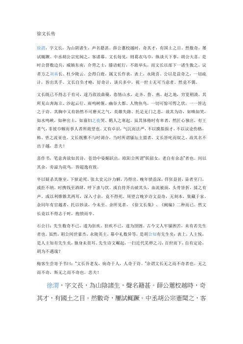徐文长传