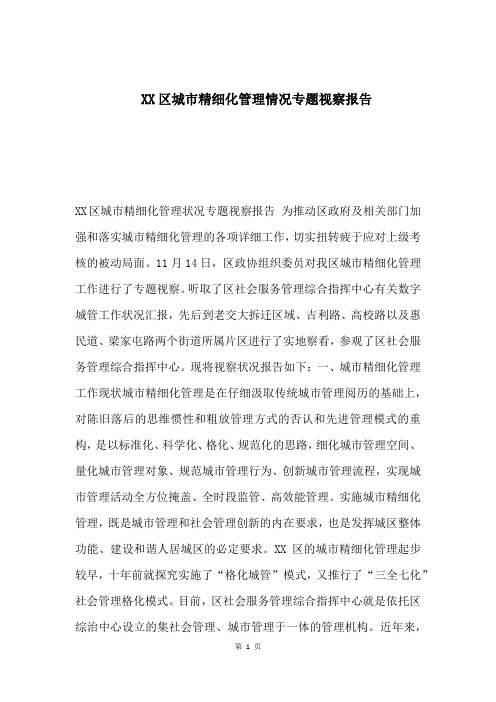 XX区城市精细化管理情况专题视察报告