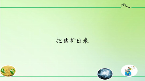 三年级上册优秀科学课件-6 把盐析出来- 鄂教版15