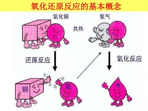 2016届高考化学一轮课时详解课件：2·3氧化还原反应的基本概念