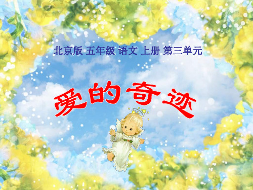 五年级语文爱的奇迹1(201912)