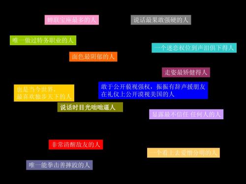 普京——我钦佩的英雄(辛旭东)