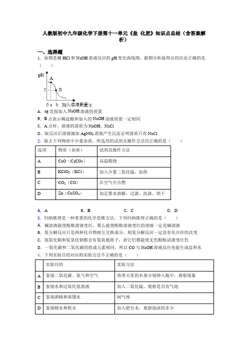 人教版初中九年级化学下册第十一单元《盐 化肥》知识点总结(含答案解析)