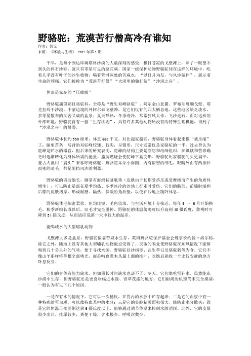 野骆驼：荒漠苦行僧高冷有谁知