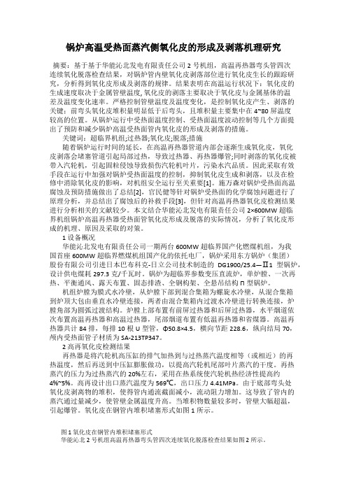 锅炉高温受热面蒸汽侧氧化皮的形成及剥落机理研究