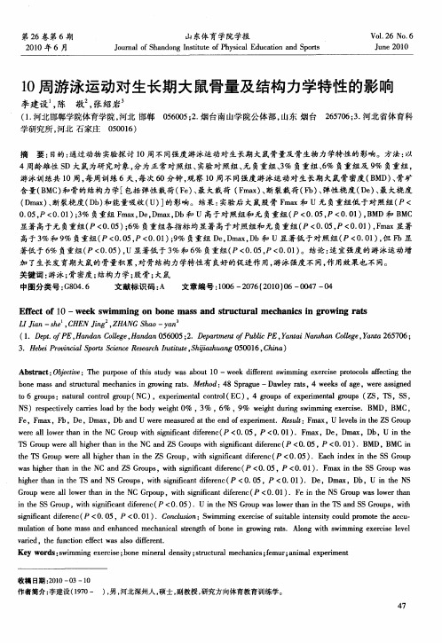 10周游泳运动对生长期大鼠骨量及结构力学特性的影响
