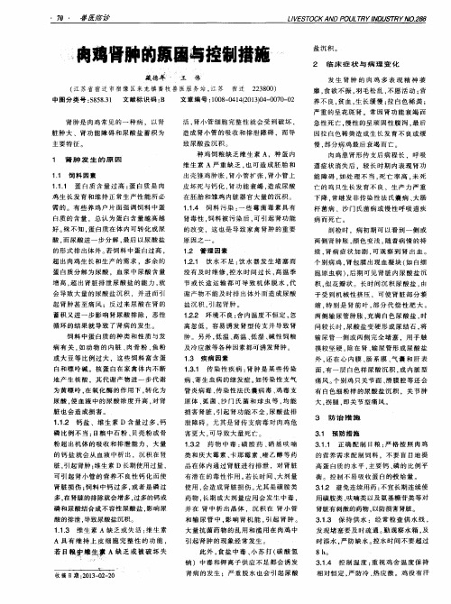 肉鸡肾肿的原因与控制措施