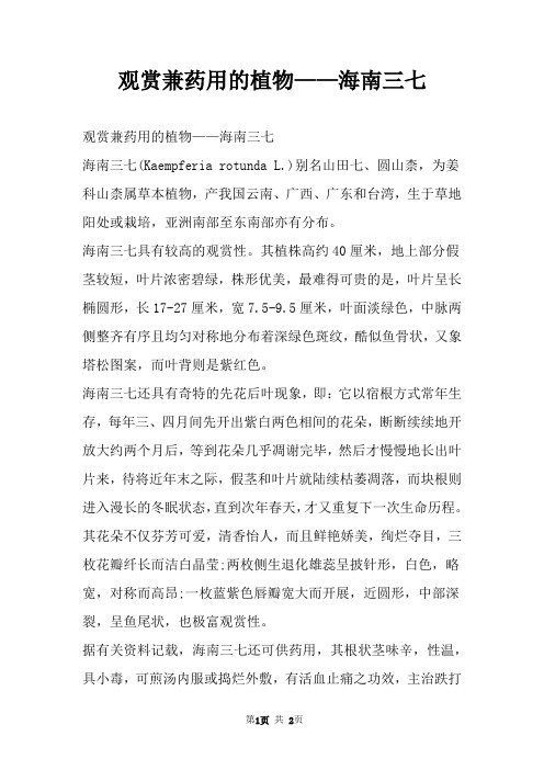 观赏兼药用的植物——海南三七