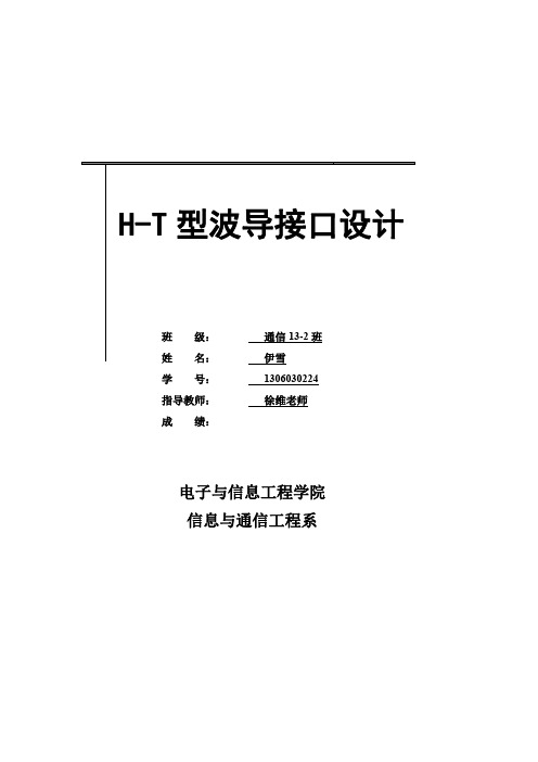 H-T波导接口设置