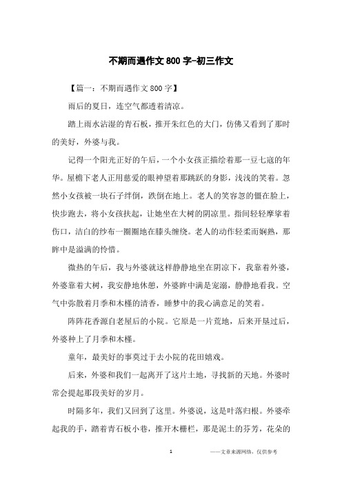 不期而遇作文800字-初三作文
