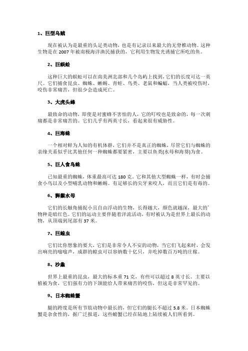 世界最大10种无脊椎动物