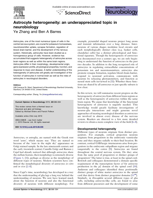 Astrocyte heterogeneity an underappreciated topic in